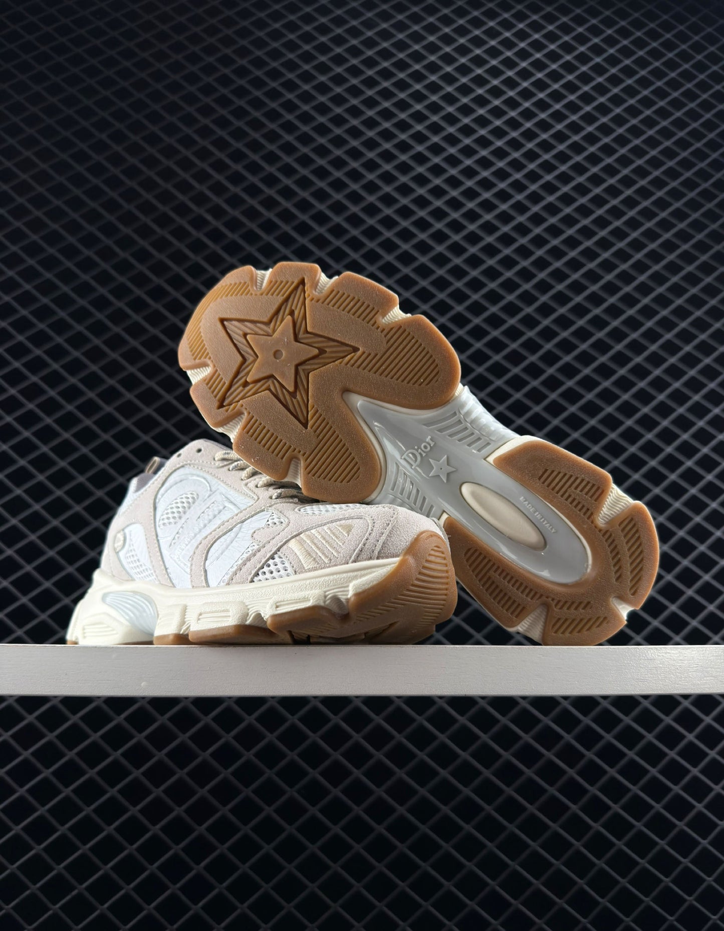 Dior Mesh Low-top Sneakers