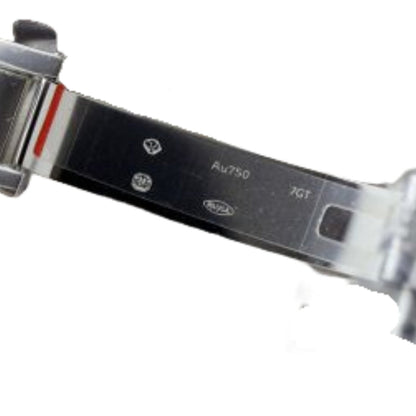 ロレックス 40mm メテオライトダイヤル プラチナブレスレット 228239 デイタイムデイトウォッチ