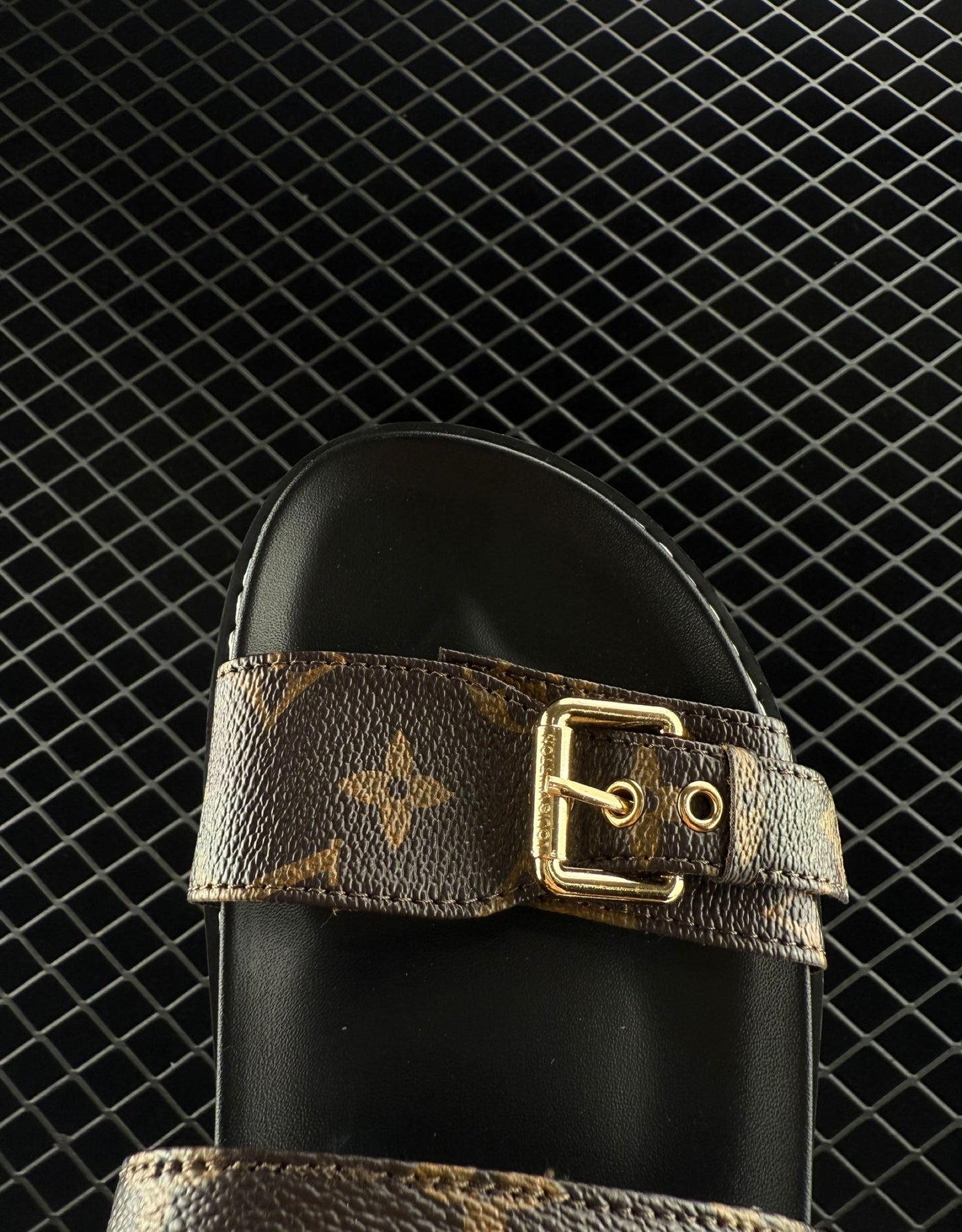 Louis Vuitton Printed Platform Elevated Casual Sandals